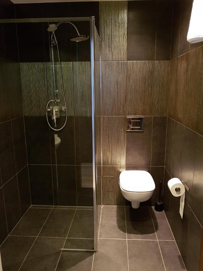 Pod Kominem Pokoje I Apartamenty Brzezie  Buitenkant foto